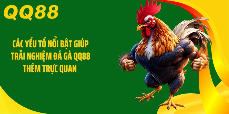 Các yếu tố nổi bật giúp trải nghiệm đá gà QQ88 thêm trực quan