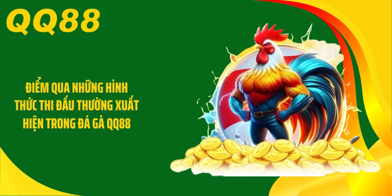Điểm qua những hình thức thi đấu thường xuất hiện trong đá gà QQ88