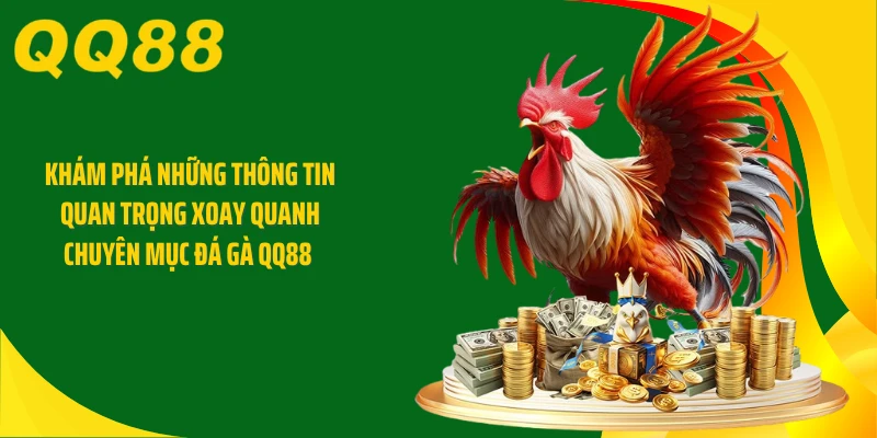 Khám phá những thông tin quan trọng xoay quanh chuyên mục đá gà QQ88