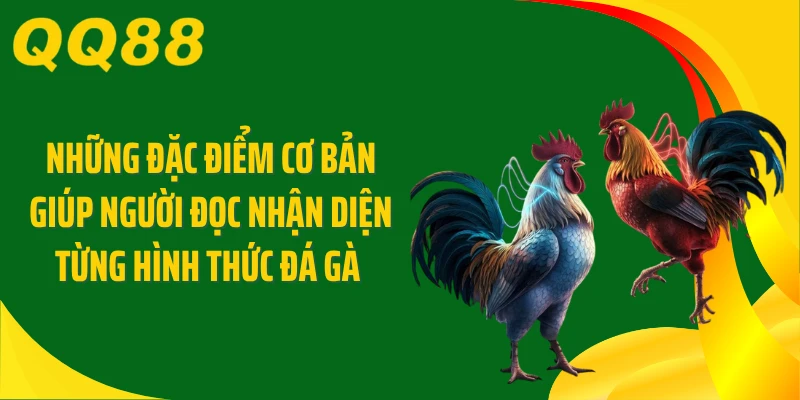Những đặc điểm cơ bản giúp người đọc nhận diện từng hình thức đá gà