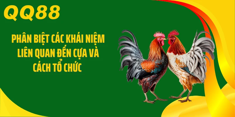 Phân biệt các khái niệm liên quan đến cựa và cách tổ chức